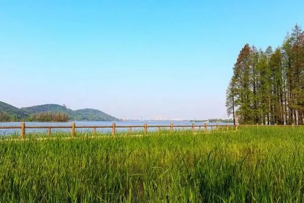 東湖落雁島游玩攻略 交通、門(mén)票、怎么玩等信息都在這了